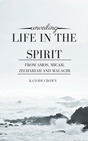 Book cover of Unveiling Life in the Spirit From Amos, Micah, Zechariah and Malachi