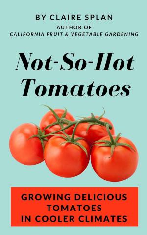 bigCover of the book Not-So-Hot Tomatoes: Growing Delicious Tomatoes in Cooler Climates by 