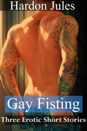 Book cover of Gay Fisting: Three Erotic Short Stories