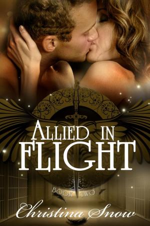 Cover of the book Allied in Flight by Jennifer Estep