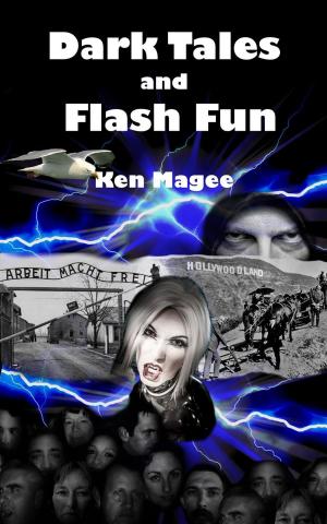 Cover of the book Dark Tales and Flash Fun by Kieron Magee