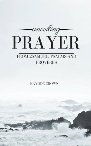 Cover of Unveiling Prayer From 2Samuel, Psalms and Proverbs