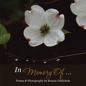 Cover of the book In Memory of . . . by Frank P. Daversa