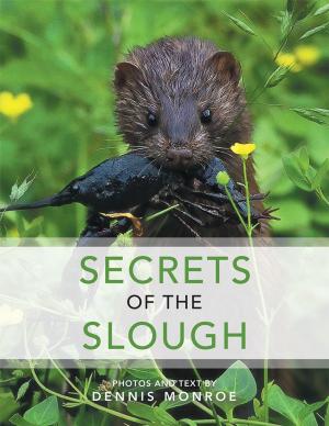 Cover of the book Secrets of the Slough by Eddie Bopp