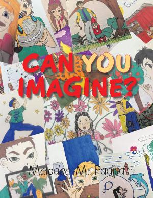 Cover of the book Can You Imagine? by Ronald J. Rich