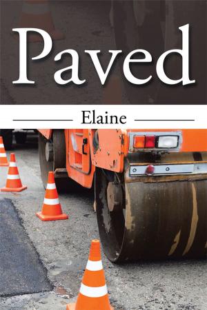 Cover of the book Paved by Jason Allen Pace
