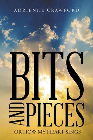 Cover of the book Bits and Pieces by Carl Reiner