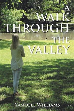 Cover of the book A Walk Through the Valley by Chris Heigl