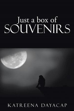 Cover of the book Just a Box of Souvenirs by Laverne Frazier Moss