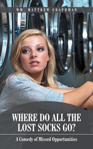 Book cover of Where Do All the Lost Socks Go?