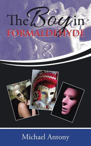 Cover of the book The Boy in Formaldehyde by James Carroll