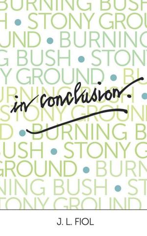 Cover of the book Burning Bush Stony Ground by John T. Miele, June Polanski Onder