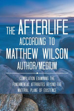 Cover of the book The Afterlife According to Matthew Wilson Author/Medium by Barry J Stone