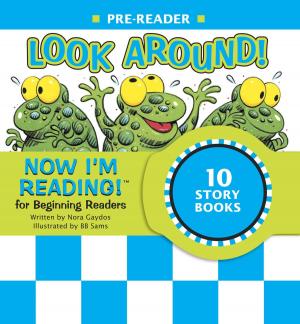 Cover of the book Now I'm Reading! Pre-Reader: Look Around! by Sarah Albee