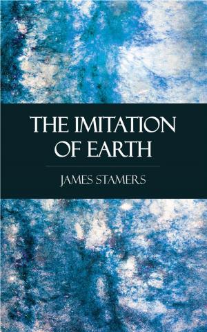 Cover of the book The Imitation of Earth by J.b. Bury