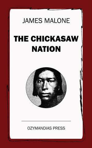 Cover of the book The Chickasaw Nation by Barbara Teller Ornelas, Lynda Teller Pete