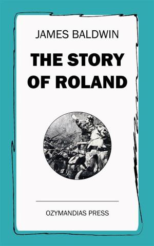 Cover of the book The Story of Roland by Amber R. Duell