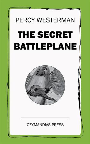 Cover of the book The Secret Battleplane by Otis Kline