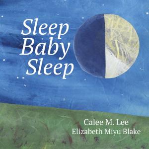 Cover of the book Sleep, Baby, Sleep by Amanda Trane