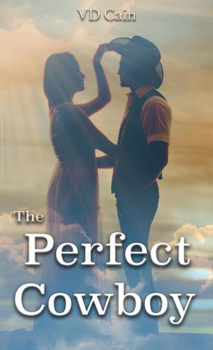 bigCover of the book The Perfect Cowboy by 