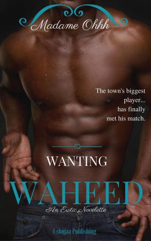 bigCover of the book Wanting Waheed by 