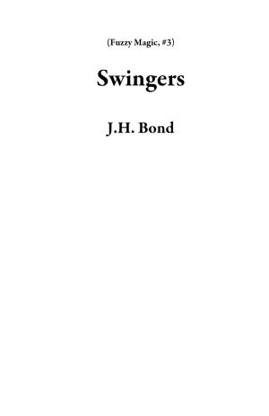 Cover of the book Swingers by Nancy Beth Lawter