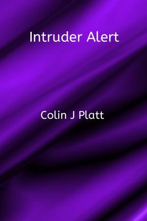Book cover of Intruder Alert