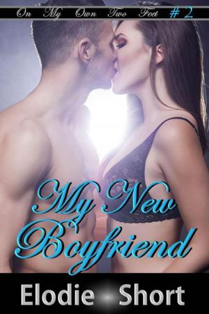 bigCover of the book My New Boyfriend by 