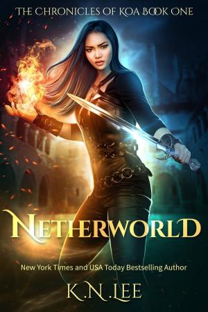 Book cover of Netherworld
