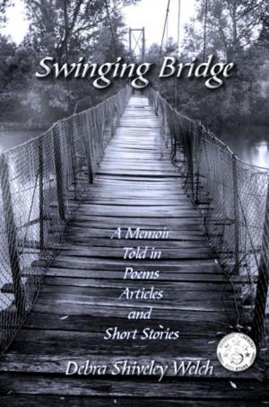 Cover of the book Swinging Bridge by Suzanne Hocking