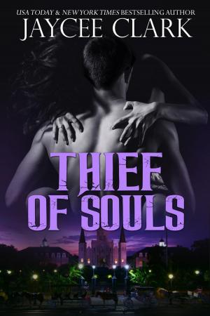 Cover of the book Thief of Souls by Mary Ann Mitchell