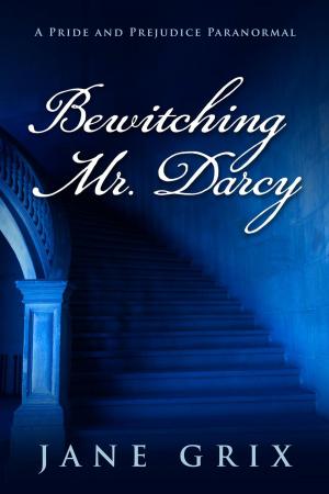Cover of the book Bewitching Mr. Darcy: A Pride and Prejudice Paranormal by Liz Levoy