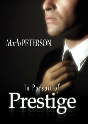 Cover of the book In Pursuit Of Prestige by Ann L. Probe