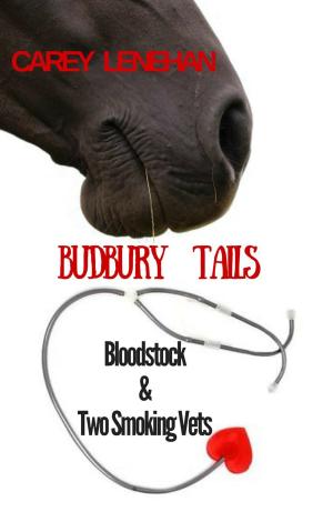 Cover of the book Bloodstock & Two Smoking Vets by Darrel Miller