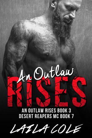 bigCover of the book An Outlaw Rises - Book 3 by 