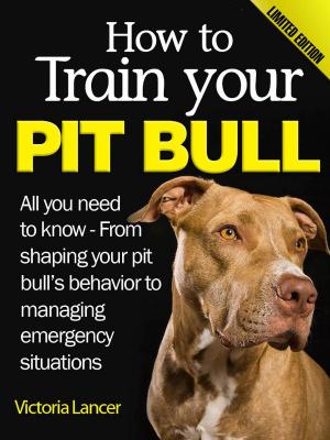 Cover of the book How to Train Your Pit Bull (Limited Edition) by S. Jackson, A. Raymond