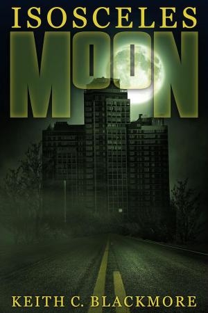 Book cover of Isosceles Moon