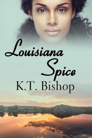 Book cover of Louisiana Spice