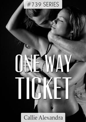 Cover of the book Book 5 - One Way Ticket by M. J. Spencer