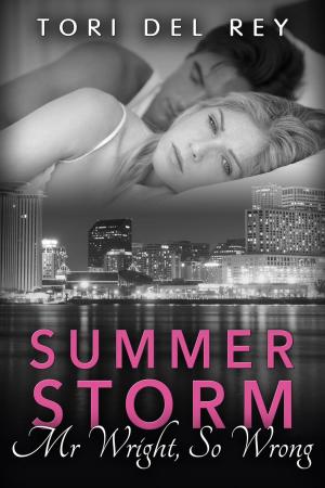 Cover of the book Summer Storm - Mr. Wright, So Wrong by Vicki Shankwitz, Megan Pitts