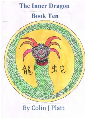 Cover of the book The Inner Dragon by Barbara Kennedy MPH MSW