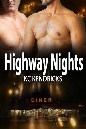 bigCover of the book Highway Nights by 