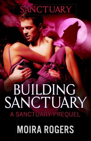 Cover of the book Building Sanctuary by Ophelia Sikes