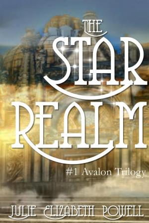 Book cover of The Star Realm