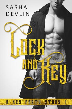 Book cover of Lock and Key