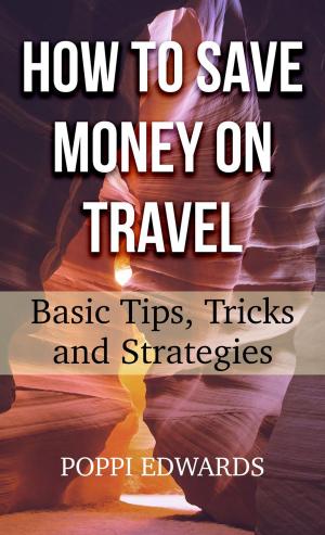 Book cover of How to Save Money on Travel: Basic Tips, Tricks and Strategies