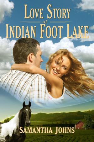 Book cover of Love Story at Indian Foot Lake