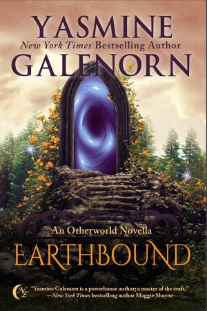 Book cover of Earthbound: An Otherworld Novella