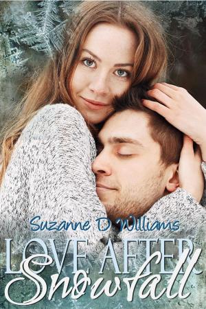 bigCover of the book Love After Snowfall by 