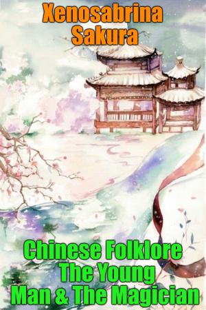 bigCover of the book Chinese Folklore The Young Man & The Magician by 